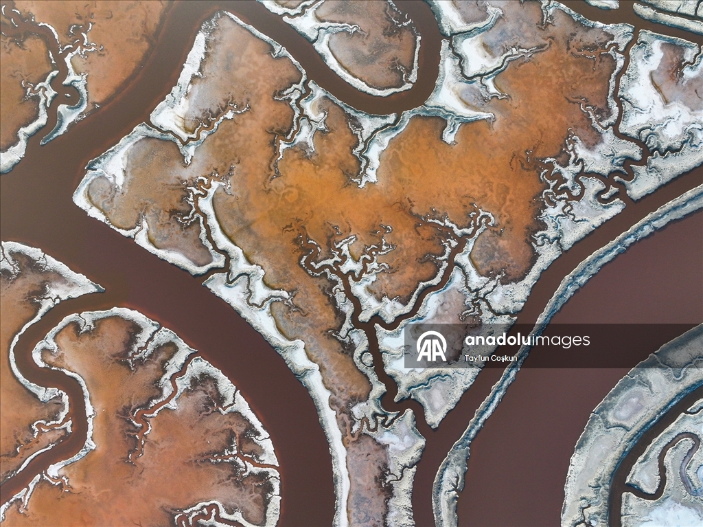 San Francisco Körfezi'ndeki Alviso Marina Bölge Parkı'nın tuz göletleri ziyaretçileri cezbediyor