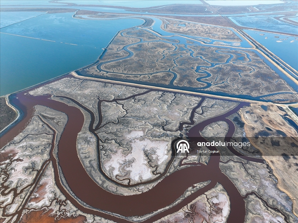 San Francisco Körfezi'ndeki Alviso Marina Bölge Parkı'nın tuz göletleri ziyaretçileri cezbediyor