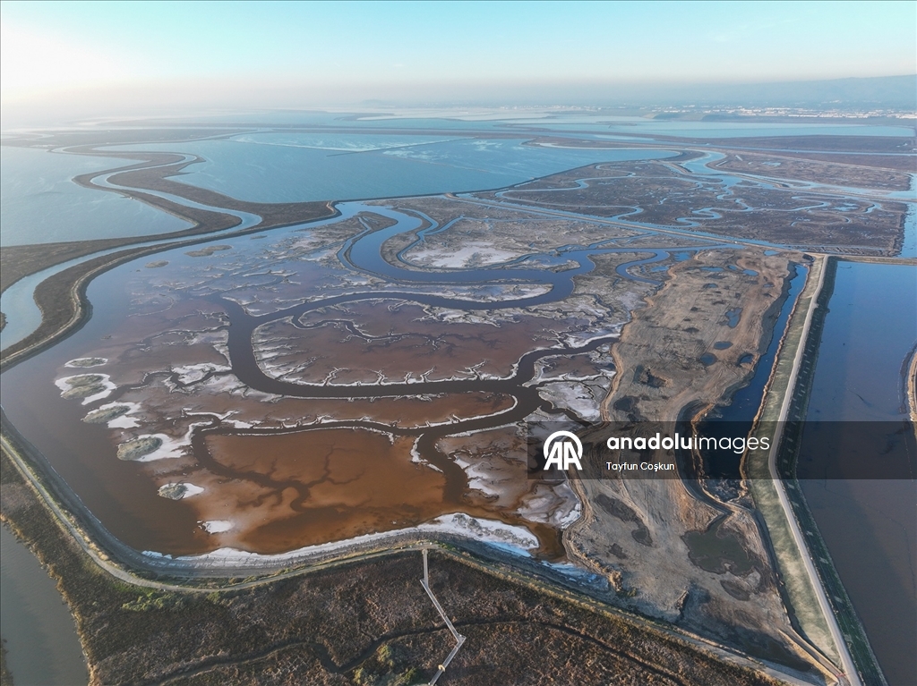 San Francisco Körfezi'ndeki Alviso Marina Bölge Parkı'nın tuz göletleri ziyaretçileri cezbediyor