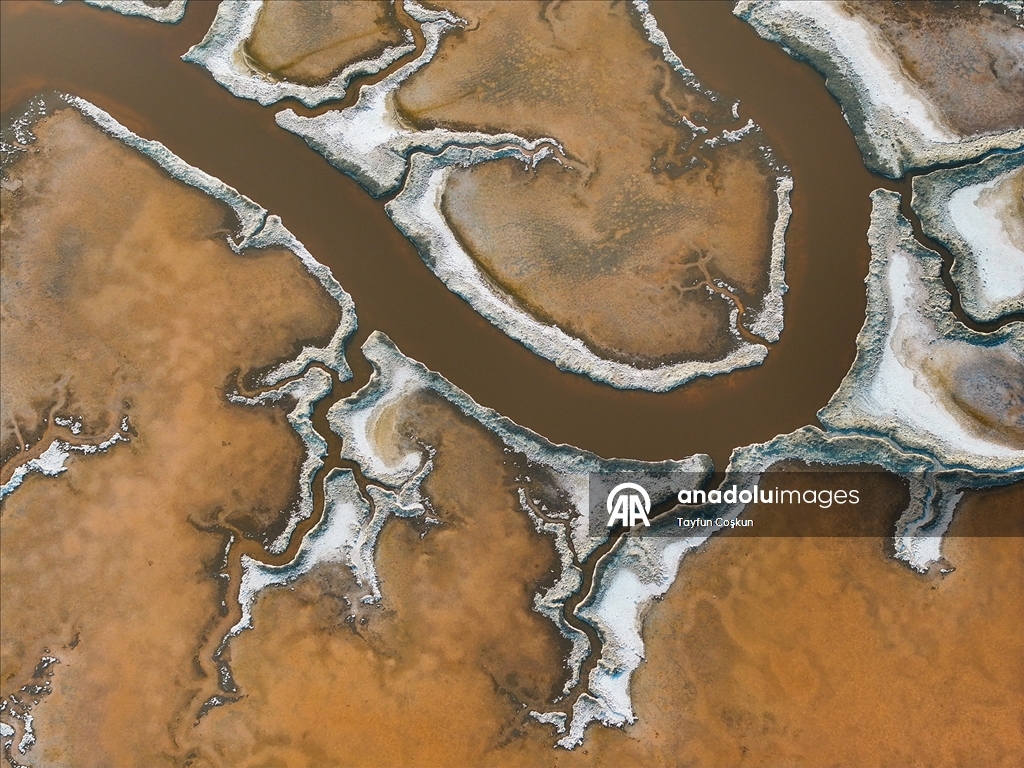 San Francisco Körfezi'ndeki Alviso Marina Bölge Parkı'nın tuz göletleri ziyaretçileri cezbediyor