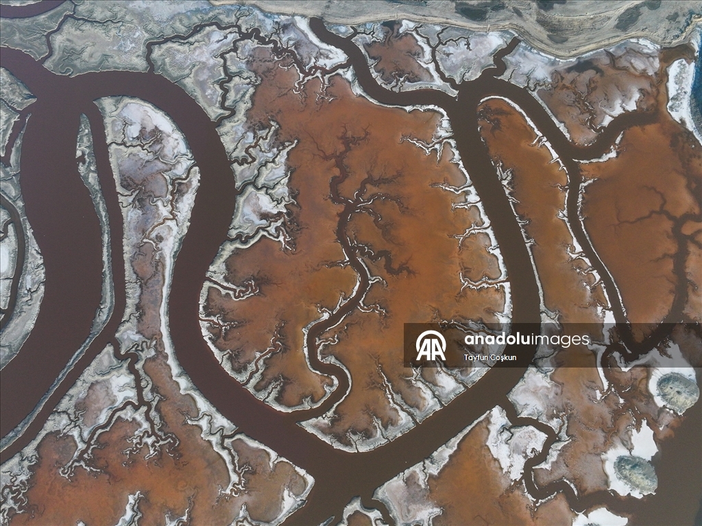San Francisco Körfezi'ndeki Alviso Marina Bölge Parkı'nın tuz göletleri ziyaretçileri cezbediyor