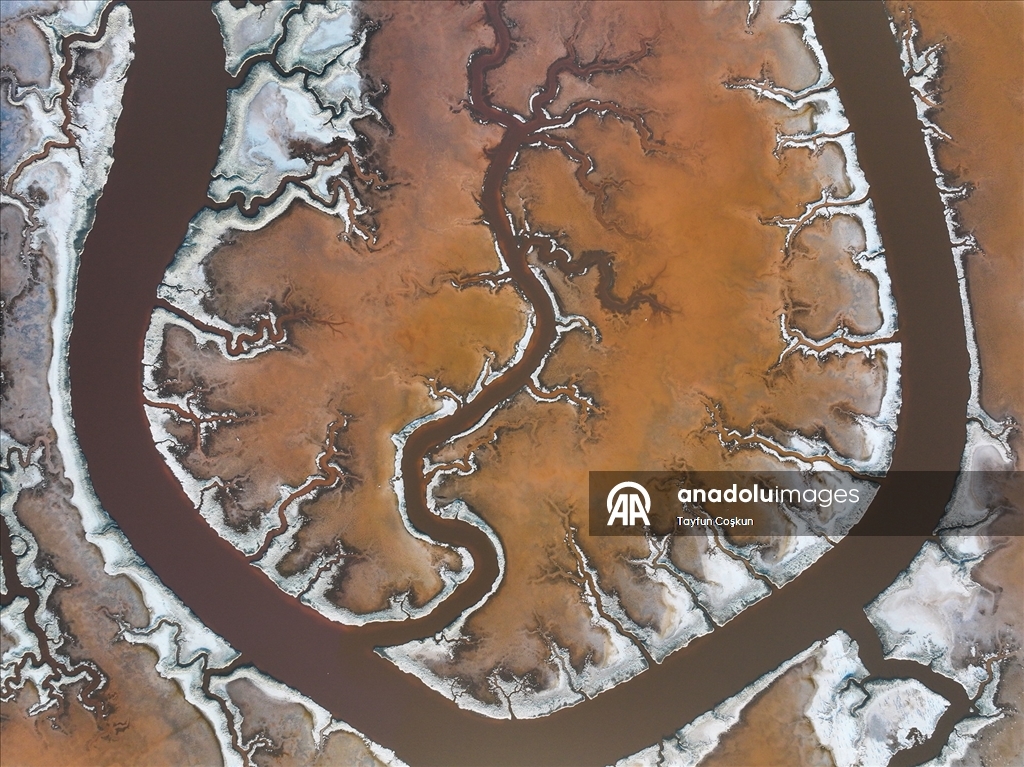 San Francisco Körfezi'ndeki Alviso Marina Bölge Parkı'nın tuz göletleri ziyaretçileri cezbediyor