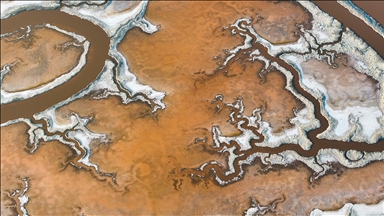 San Francisco Körfezi'ndeki Alviso Marina Bölge Parkı'nın tuz göletleri ziyaretçileri cezbediyor