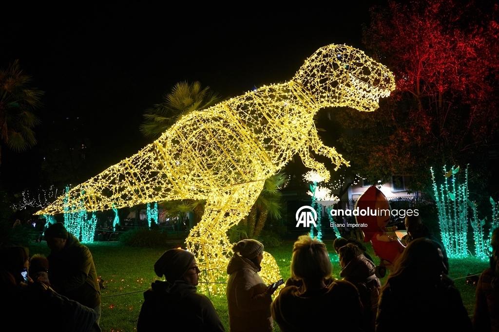 Итальянский Салерно засиял к Новому году  1