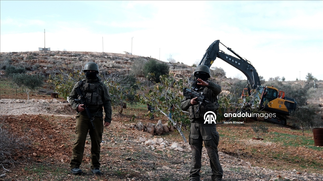 İsrail, Nablus’un güneyinde yüzlerce zeytin ağacını kökünden söktü