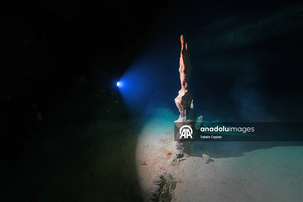 Doğu Akdeniz'in derinliklerine inen dalgıçlar canlıların renkli dünyasını görüntüledi