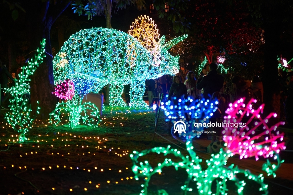 Итальянский Салерно засиял к Новому году  2