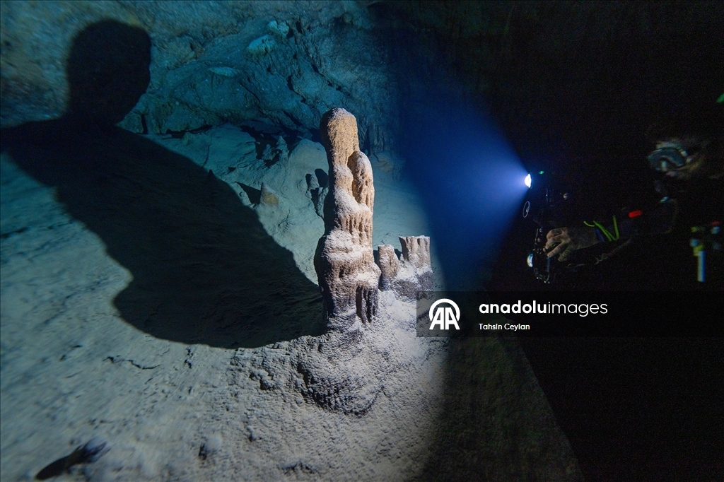 Doğu Akdeniz'in derinliklerine inen dalgıçlar canlıların renkli dünyasını görüntüledi