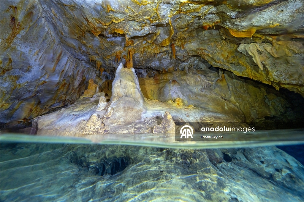 Doğu Akdeniz'in derinliklerine inen dalgıçlar canlıların renkli dünyasını görüntüledi