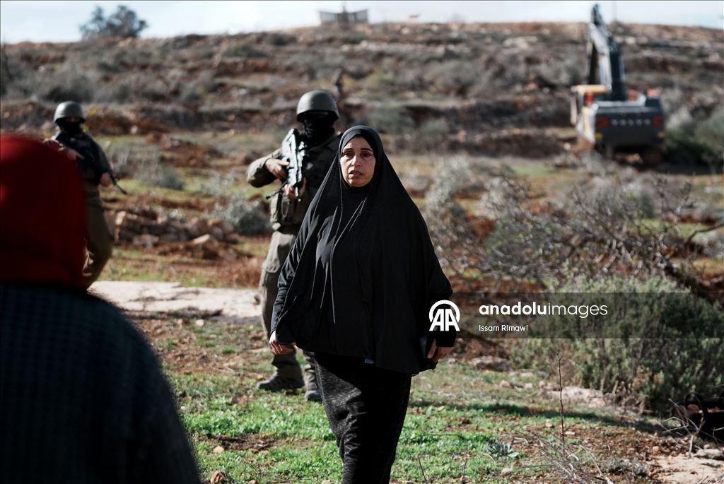 İsrail, Nablus’un güneyinde yüzlerce zeytin ağacını kökünden söktü