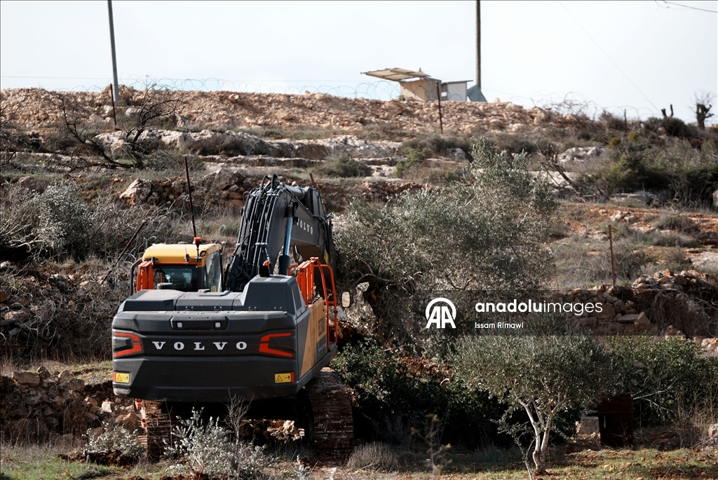 İsrail, Nablus’un güneyinde yüzlerce zeytin ağacını kökünden söktü
