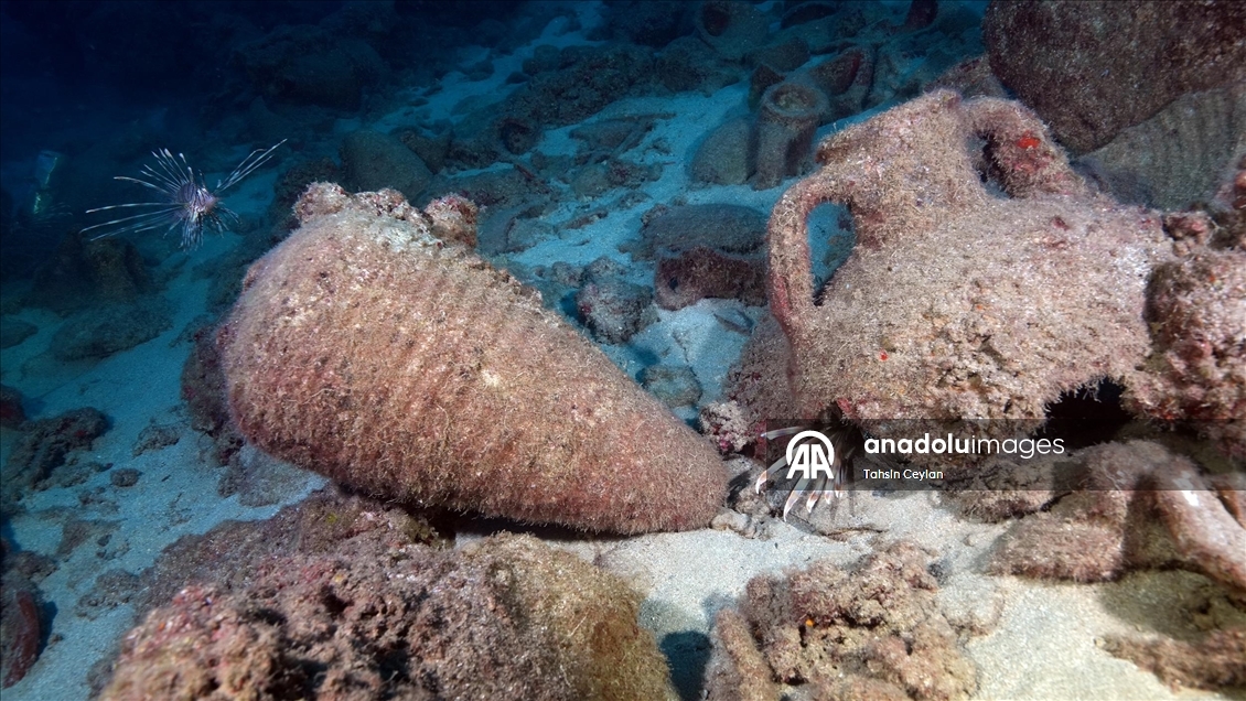 Doğu Akdeniz'in derinliklerine inen dalgıçlar canlıların renkli dünyasını görüntüledi