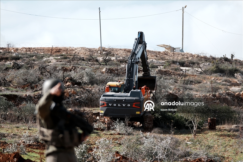 İsrail, Nablus’un güneyinde yüzlerce zeytin ağacını kökünden söktü