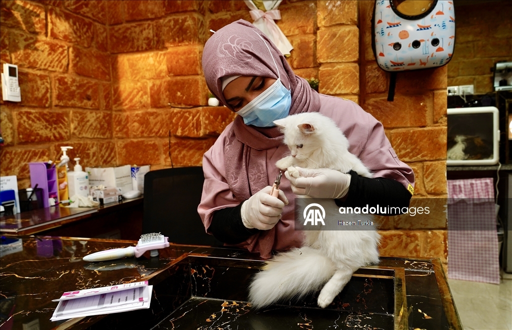 دلال 5 نجوم.. أول فندق للقطط في ليبيا بخدمات فاخرة