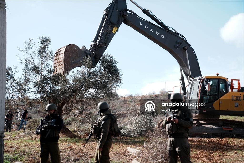 İsrail, Nablus’un güneyinde yüzlerce zeytin ağacını kökünden söktü