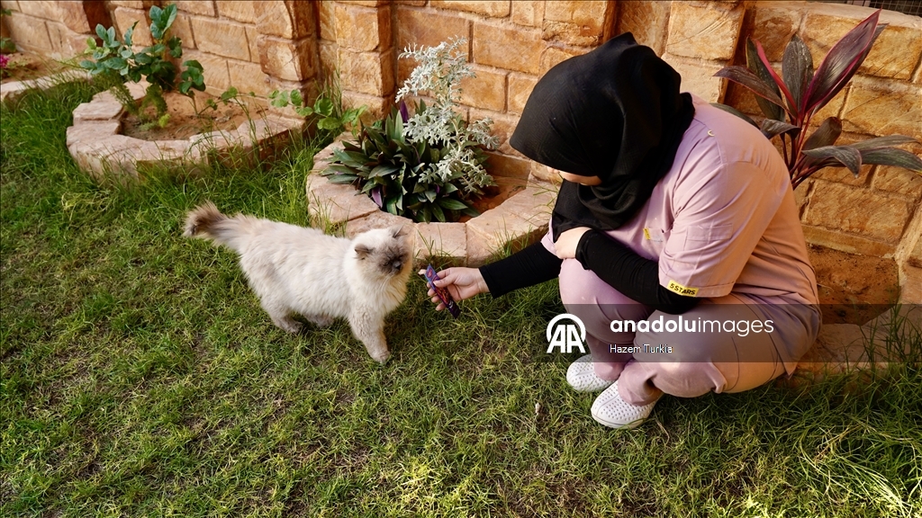 دلال 5 نجوم.. أول فندق للقطط في ليبيا بخدمات فاخرة