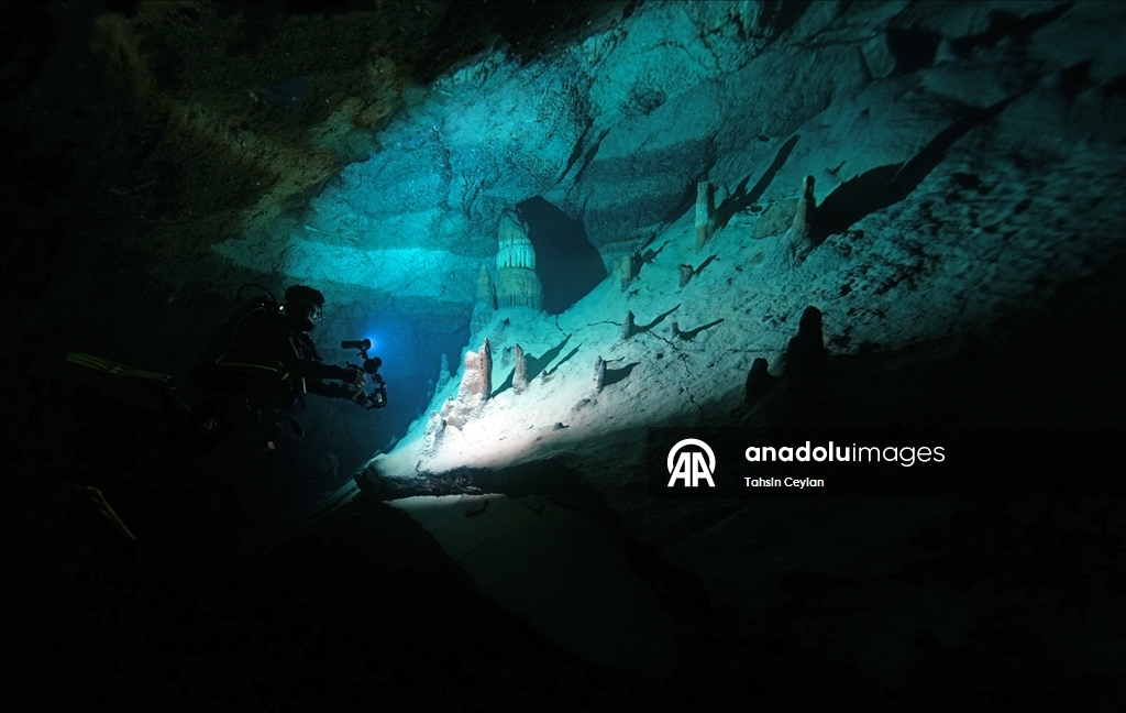 Doğu Akdeniz'in derinliklerine inen dalgıçlar canlıların renkli dünyasını görüntüledi