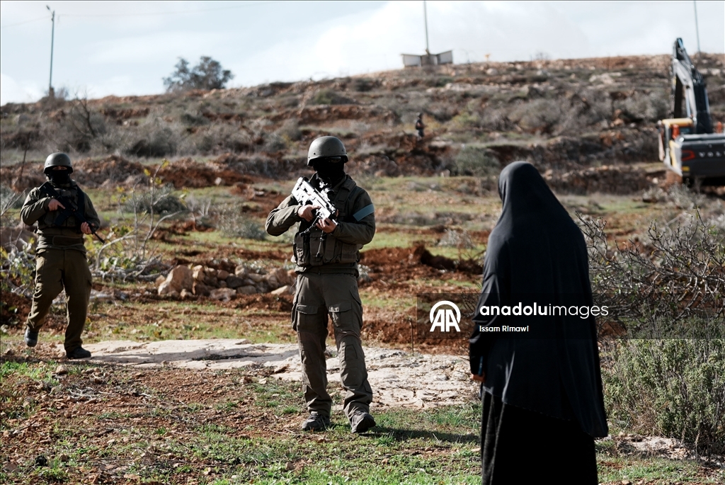 İsrail, Nablus’un güneyinde yüzlerce zeytin ağacını kökünden söktü