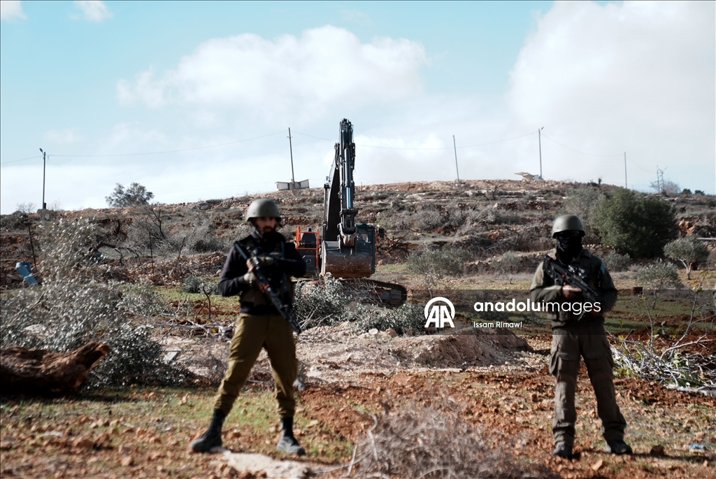 İsrail, Nablus’un güneyinde yüzlerce zeytin ağacını kökünden söktü