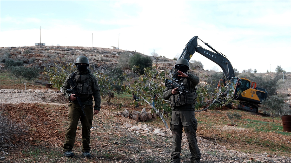 İsrail, Nablus’un güneyinde yüzlerce zeytin ağacını kökünden söktü