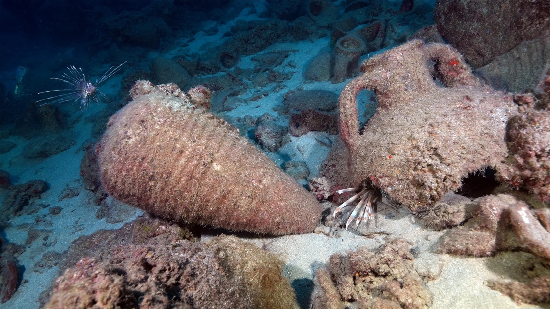 Doğu Akdeniz'in derinliklerine inen dalgıçlar canlıların renkli dünyasını görüntüledi