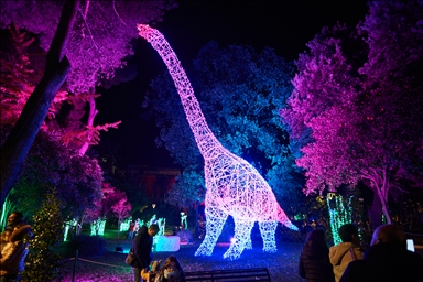 Итальянский Салерно засиял к Новому году 