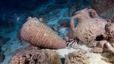 Doğu Akdeniz'in derinliklerine inen dalgıçlar canlıların renkli dünyasını görüntüledi