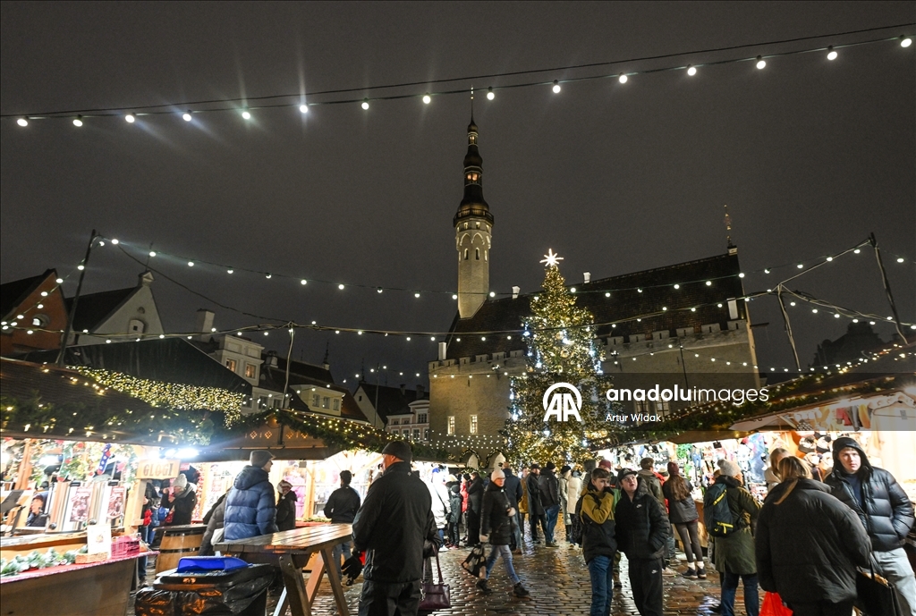 На Ратушной площади Таллинна установили рождественскую елку