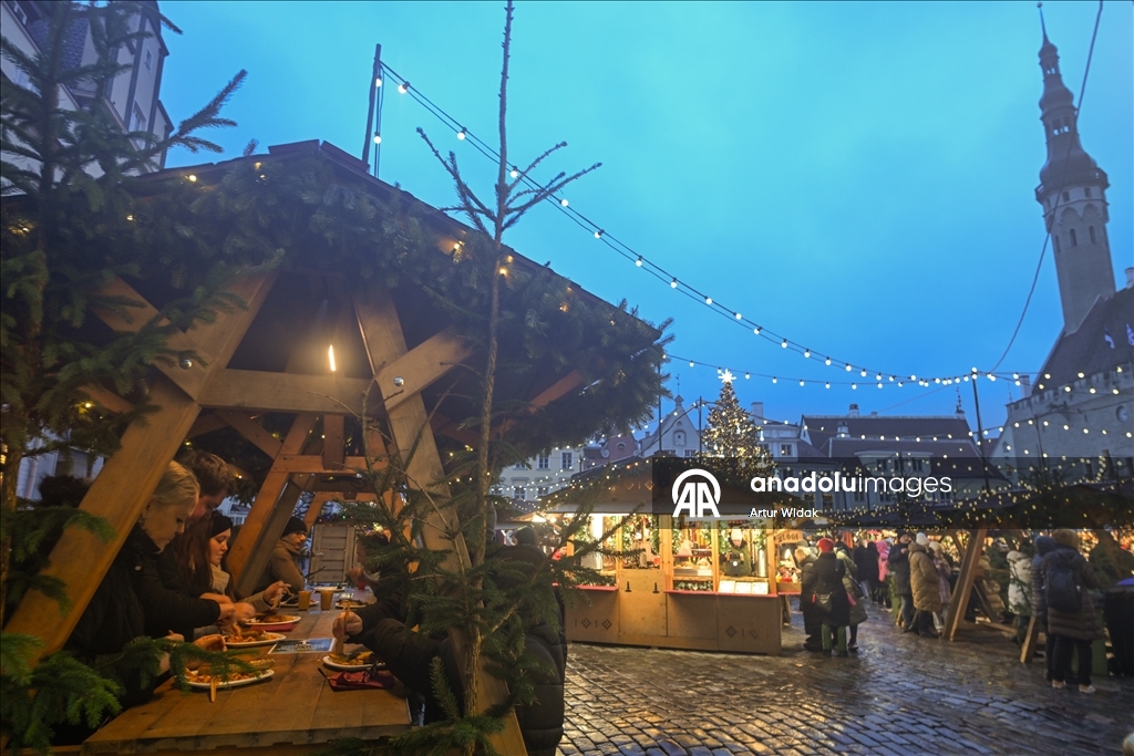 На Ратушной площади Таллинна установили рождественскую елку