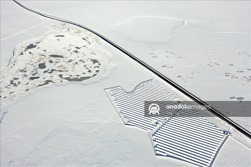 Lake Cali, which hosts birds migrating from Africa to Russia, has frozen in Turkiye's Kars