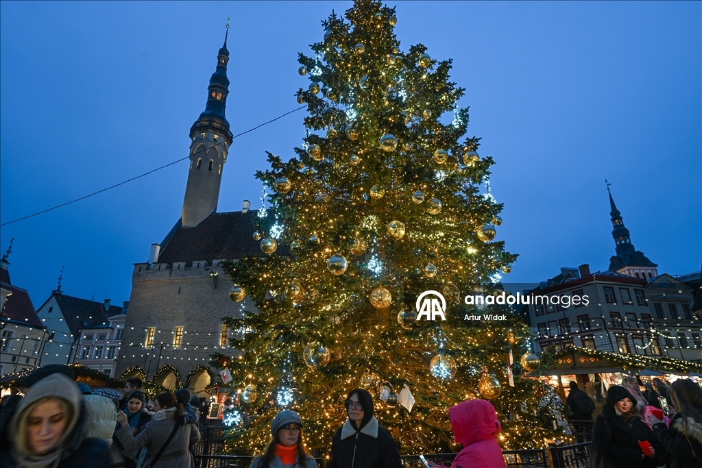 На Ратушной площади Таллинна установили рождественскую елку