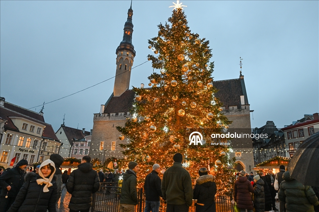 На Ратушной площади Таллинна установили рождественскую елку