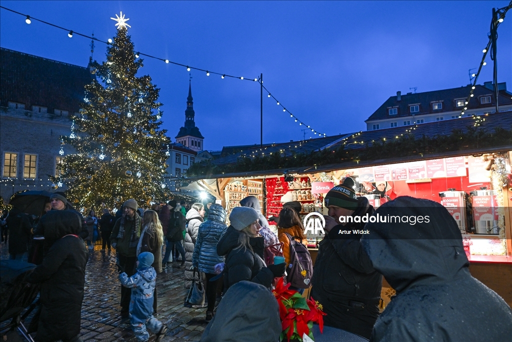 На Ратушной площади Таллинна установили рождественскую елку