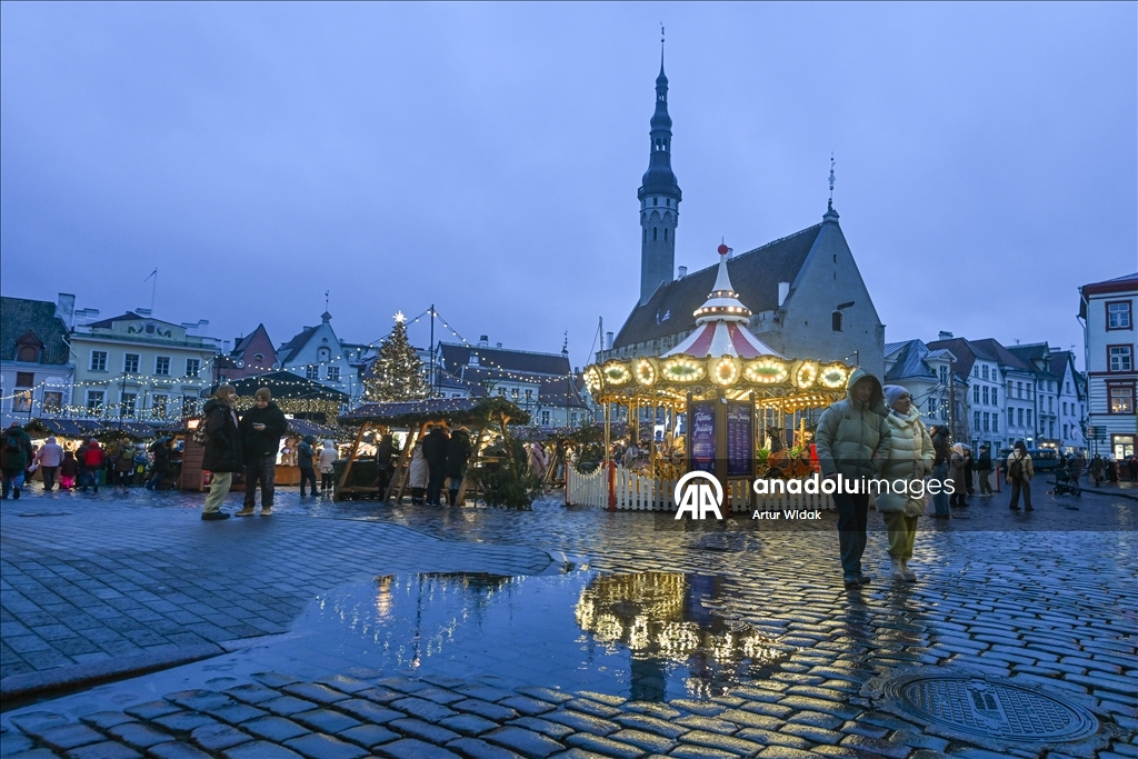 На Ратушной площади Таллинна установили рождественскую елку