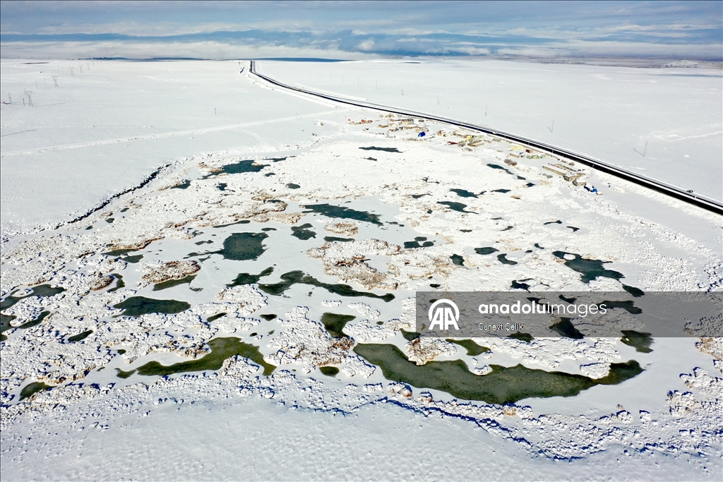 Lake Cali, which hosts birds migrating from Africa to Russia, has frozen in Turkiye's Kars