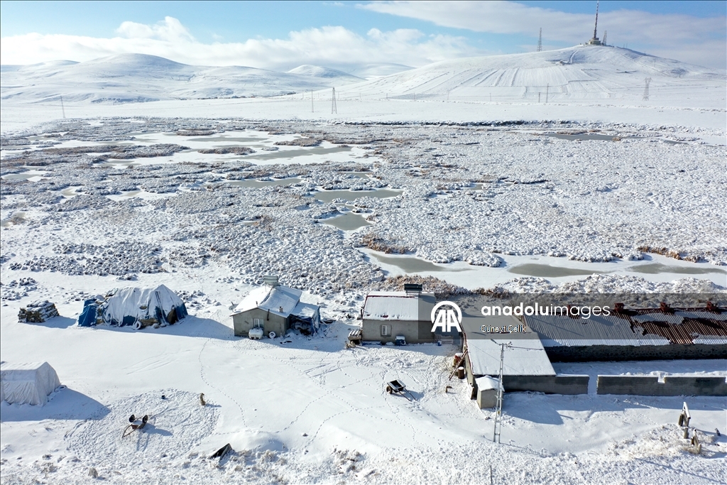 Lake Cali, which hosts birds migrating from Africa to Russia, has frozen in Turkiye's Kars