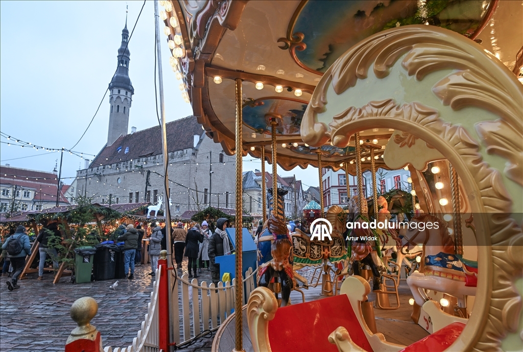 На Ратушной площади Таллинна установили рождественскую елку