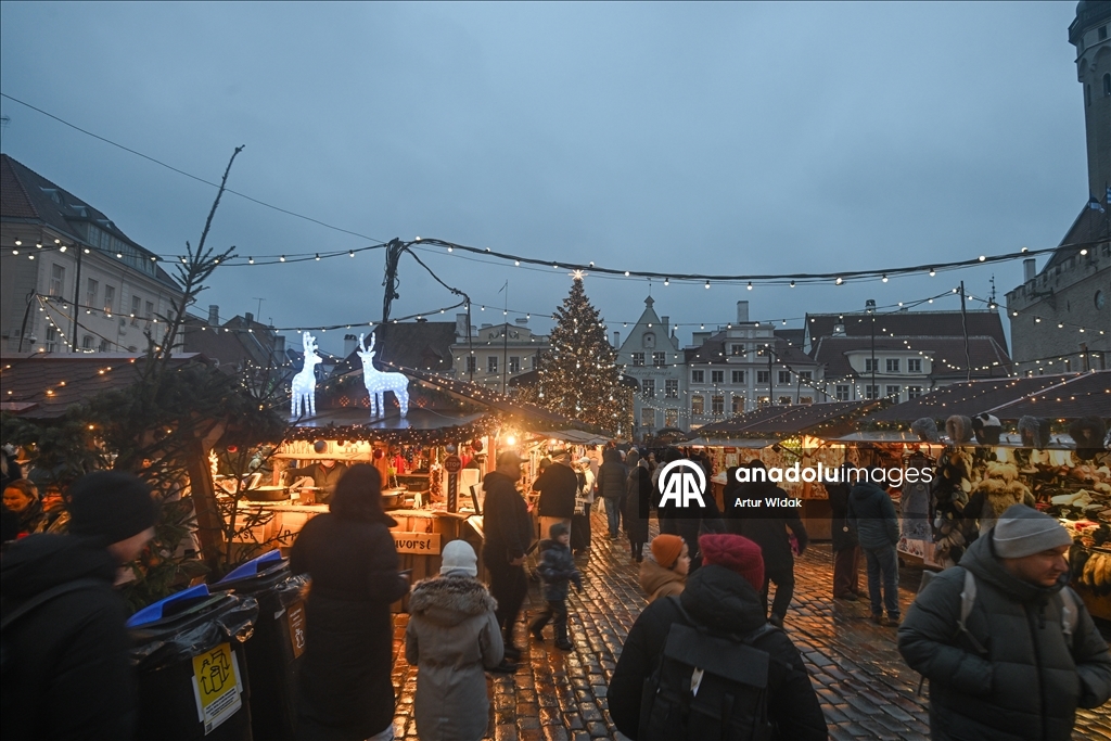 На Ратушной площади Таллинна установили рождественскую елку