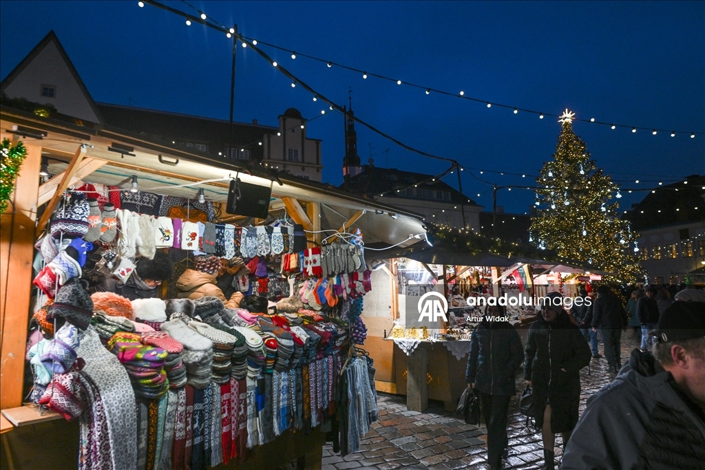 На Ратушной площади Таллинна установили рождественскую елку