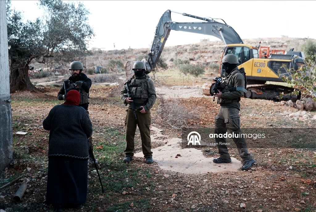 Израиль уничтожил сотни оливковых деревьев на Западном берегу