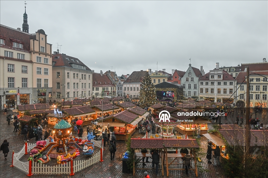 На Ратушной площади Таллинна установили рождественскую елку