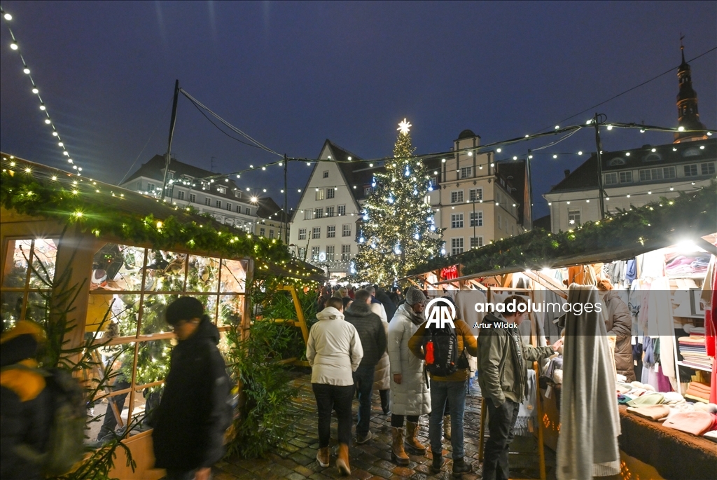 На Ратушной площади Таллинна установили рождественскую елку