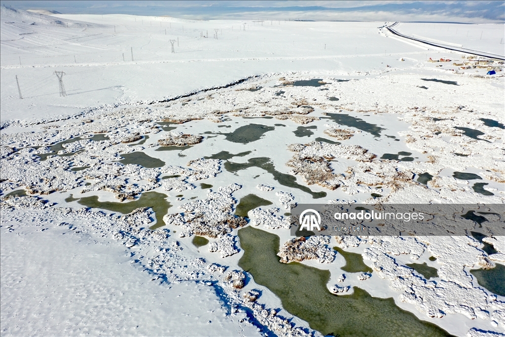 Lake Cali, which hosts birds migrating from Africa to Russia, has frozen in Turkiye's Kars