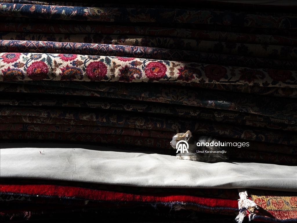 Carpet tradition continues in Tehran's Grand Bazaar