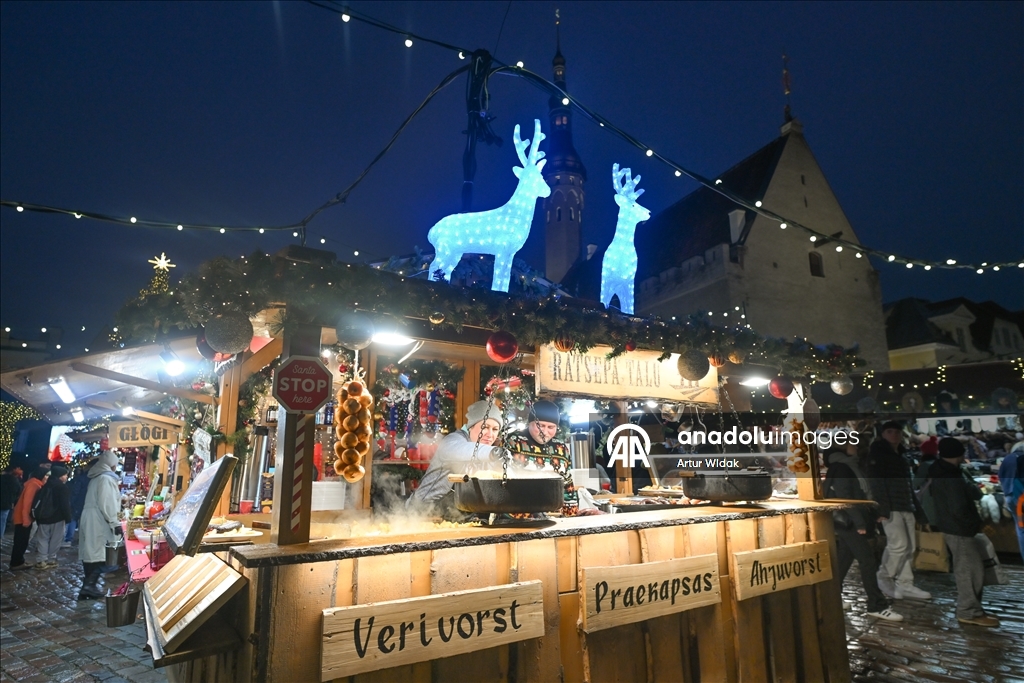 На Ратушной площади Таллинна установили рождественскую елку