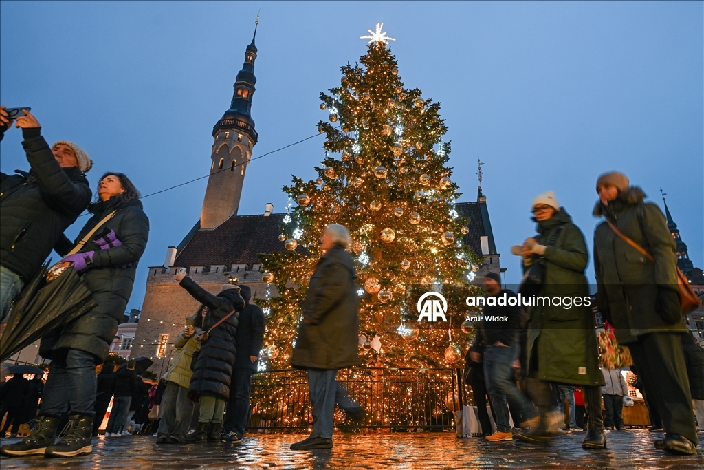 На Ратушной площади Таллинна установили рождественскую елку