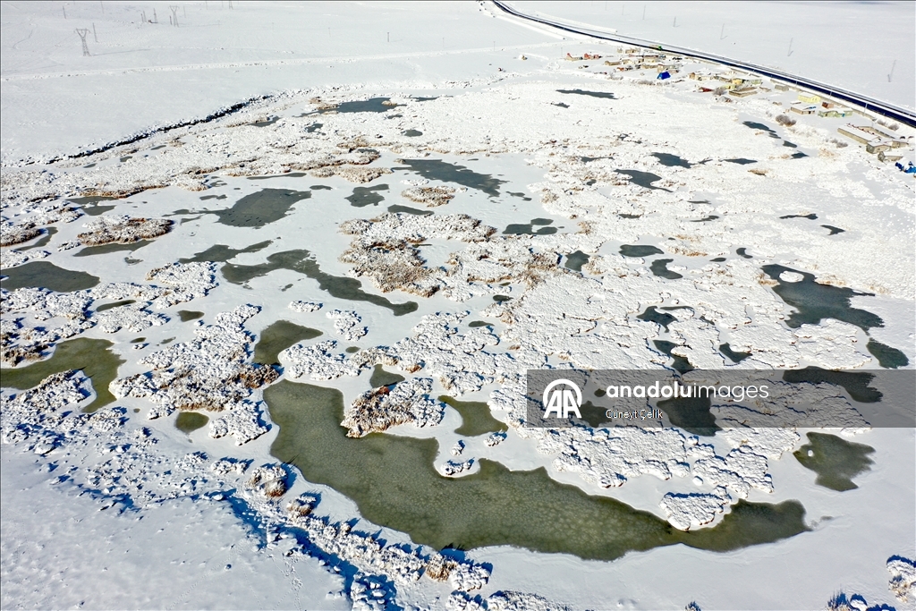 Lake Cali, which hosts birds migrating from Africa to Russia, has frozen in Turkiye's Kars