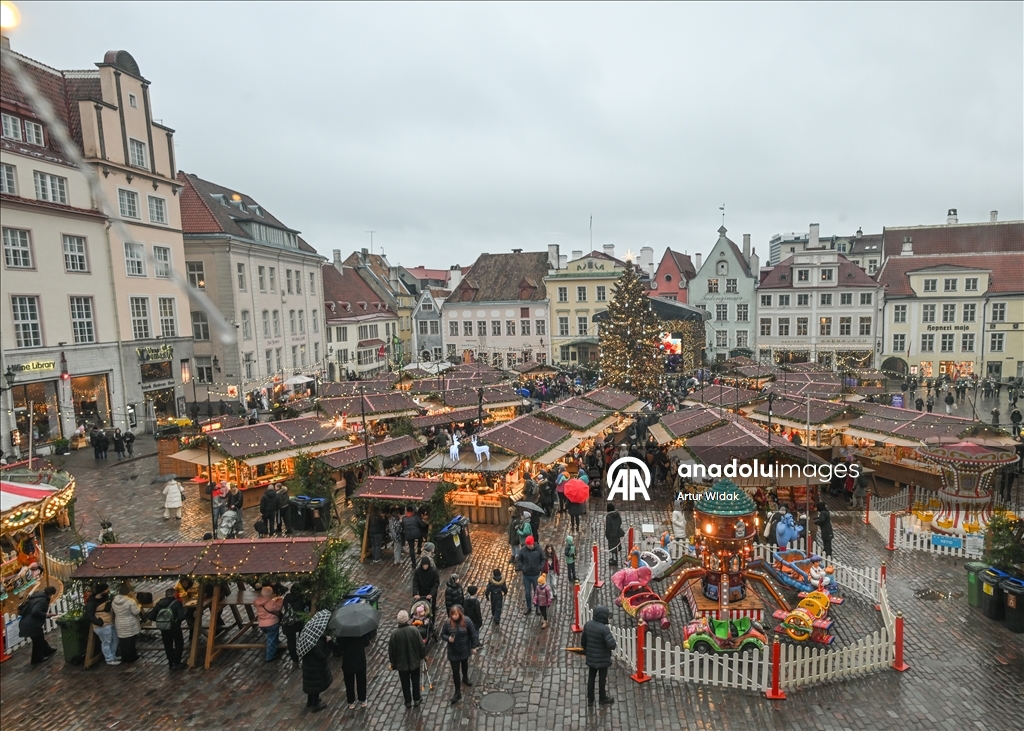 На Ратушной площади Таллинна установили рождественскую елку