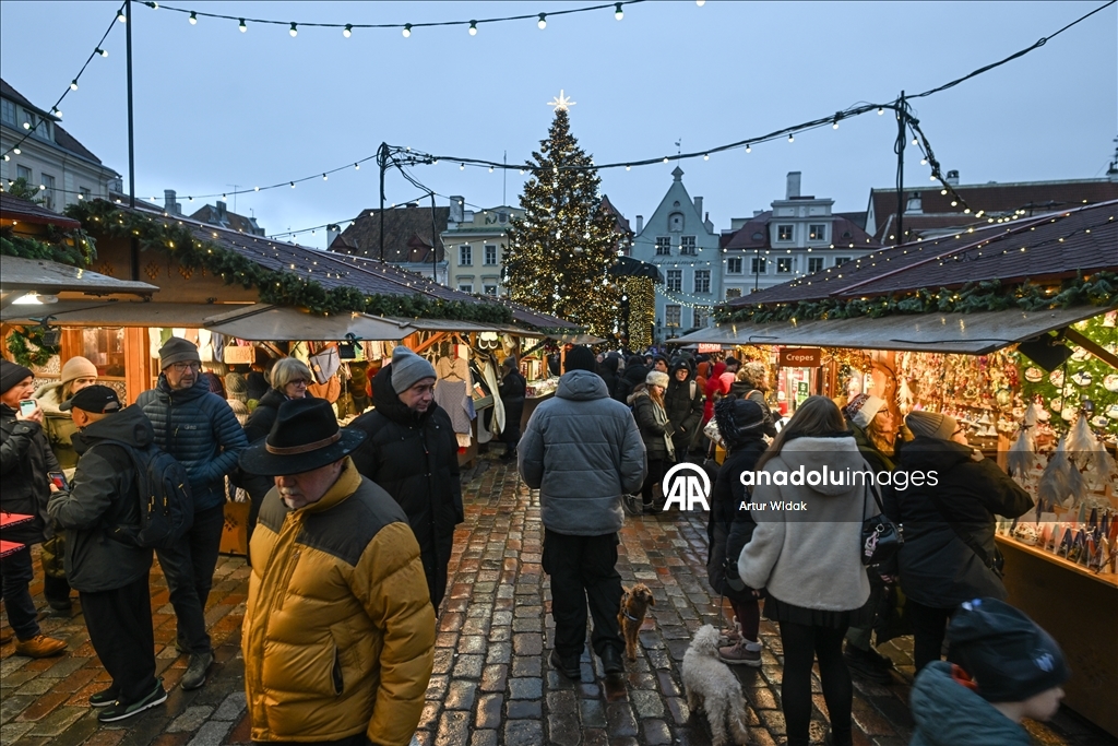 На Ратушной площади Таллинна установили рождественскую елку