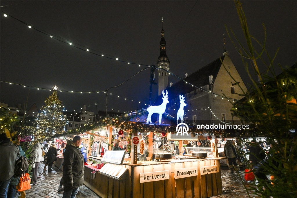 На Ратушной площади Таллинна установили рождественскую елку